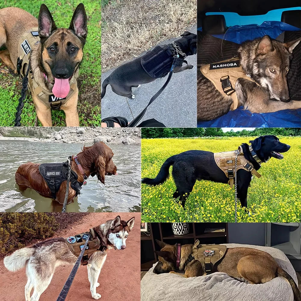 Tactical Dog Harness And Leash Set With Adjustable Vest