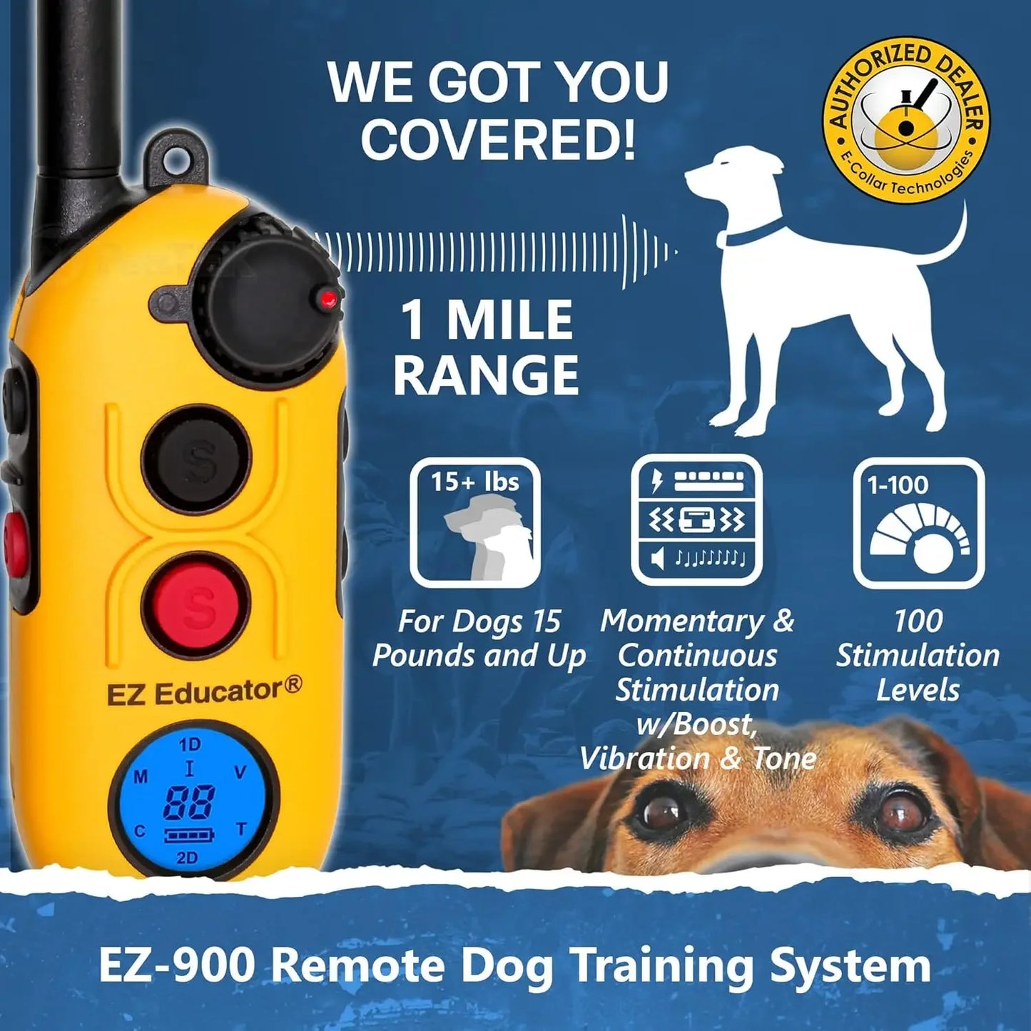 EZ 900 E Collar For Dog Training With Remote Waterproof
