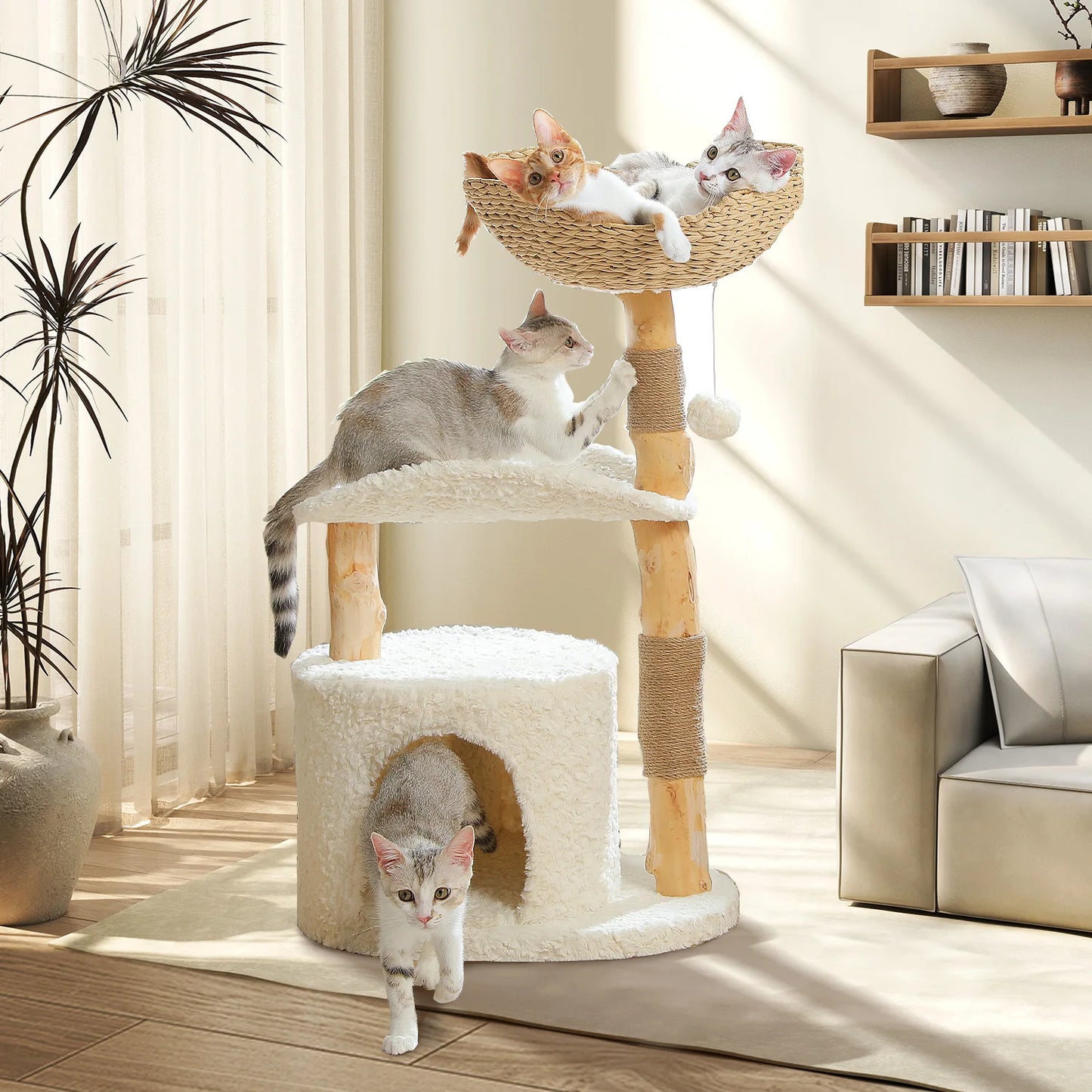 PEQULTI CN Solid Wood Cat Tree Tower With Spacious Condo