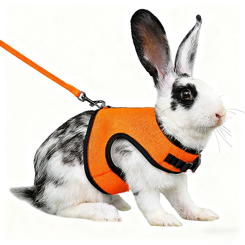 Summer Pet Harness Leash For Small Animals Breathable Mesh