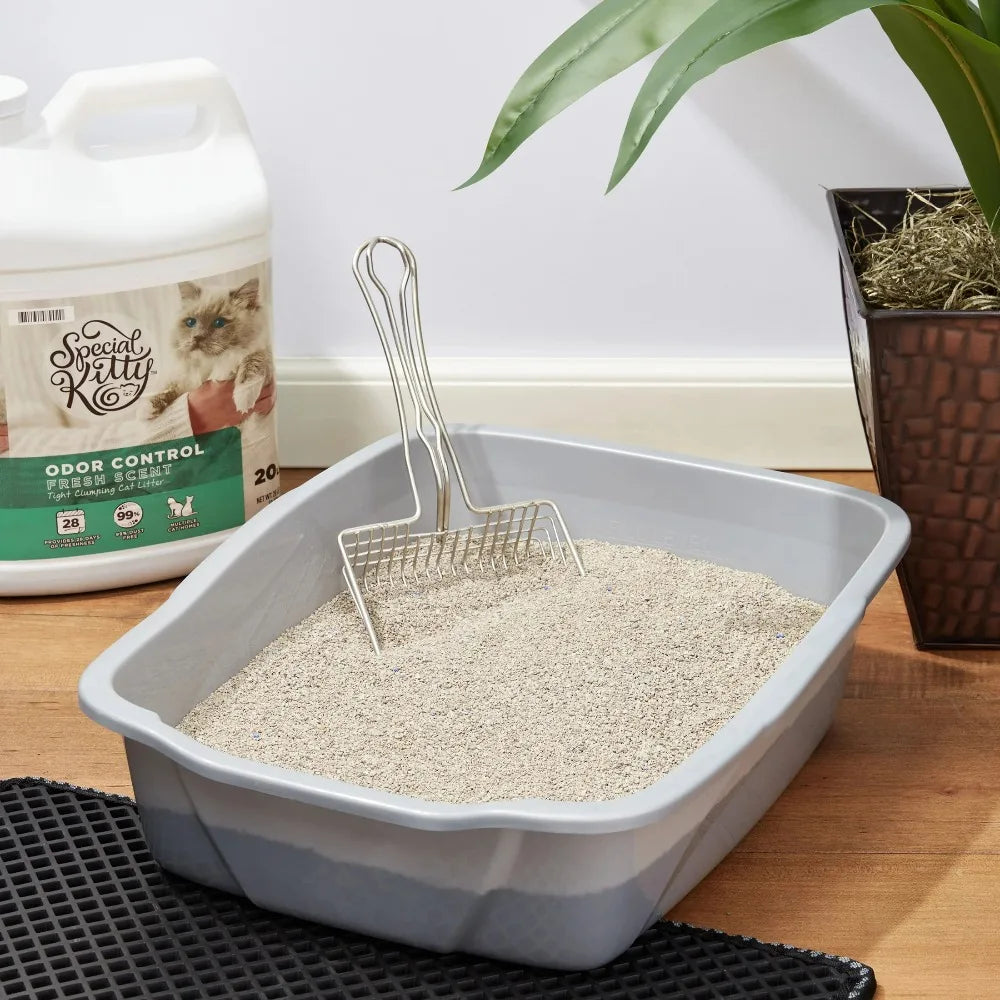 Special Kitty Clumping Cat Litter Fresh Scent Scooopable