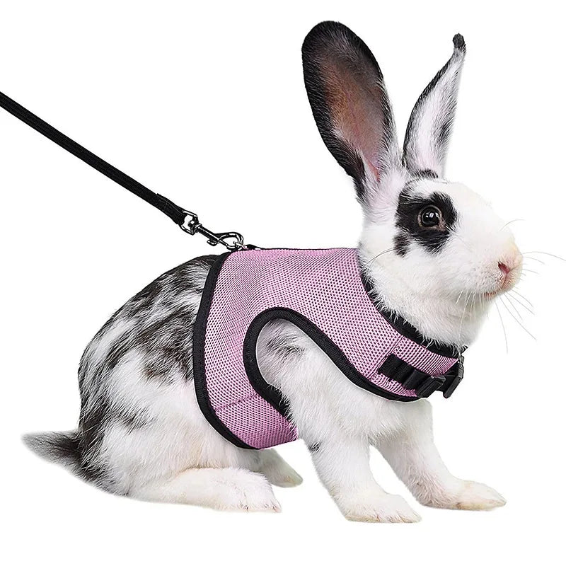 Summer Pet Harness Leash For Small Animals Breathable Mesh