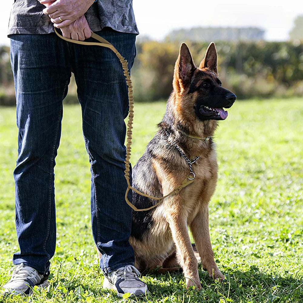 PETRAVEL CN Military Style Quick Release Leash With Elastic Rope
