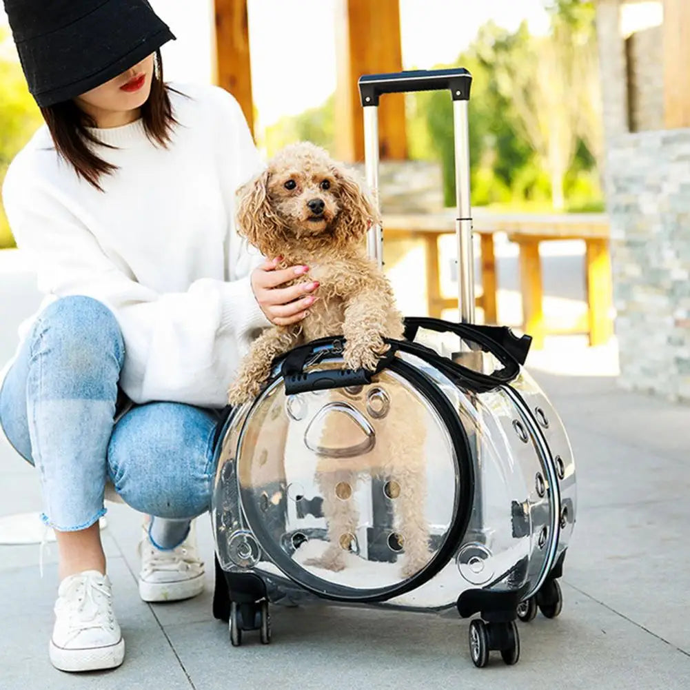 Pet Trolley Case With Ventilation Holes For Cats Travel Carrier