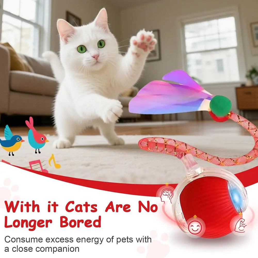 Interactive Cat And Dog Ball Toy 360 Rolling Indoor