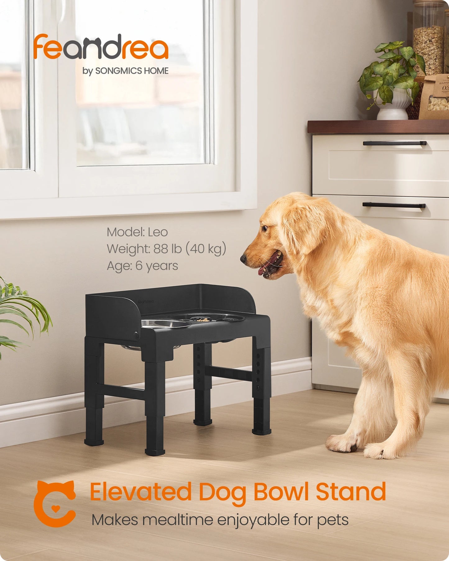 Feandrea Elevated Dog Bowls Stand With Slow Feeder
