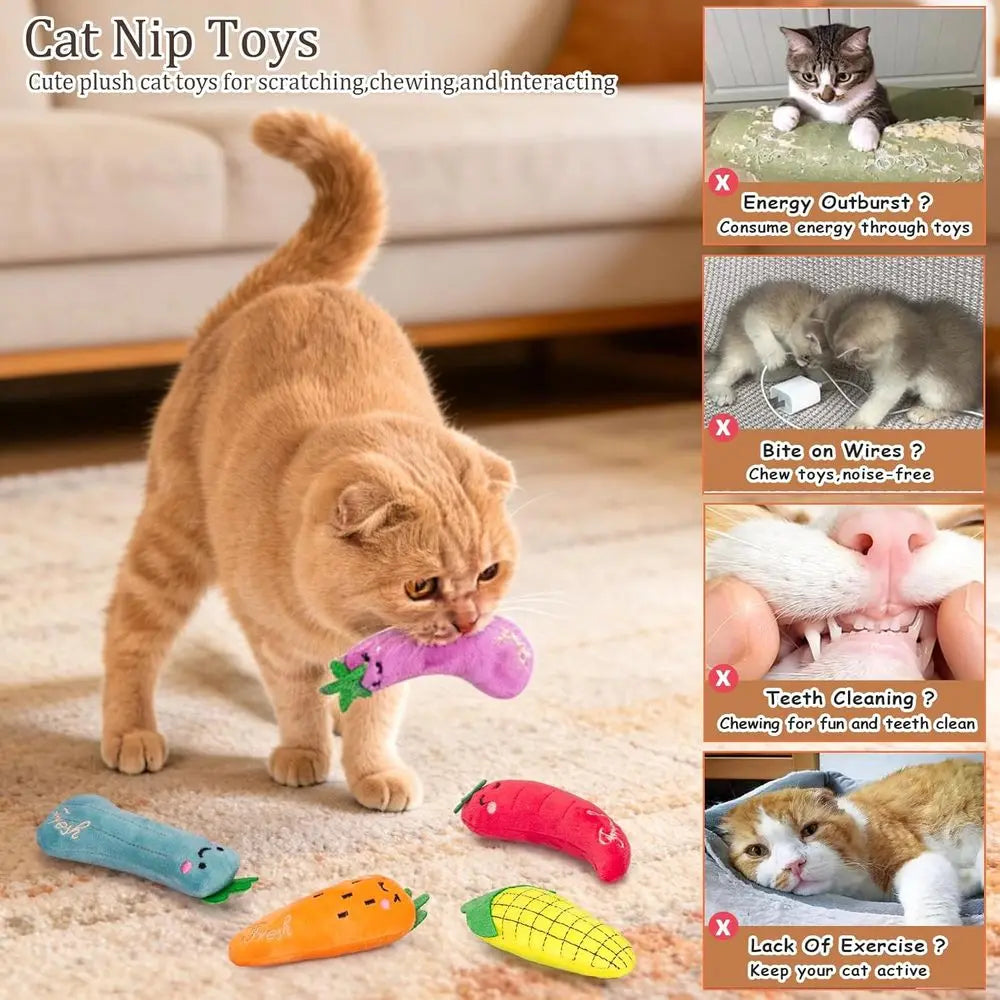 Catnip Plush Cat Toys 5 Pack Natural Silvervine Indoor Cats